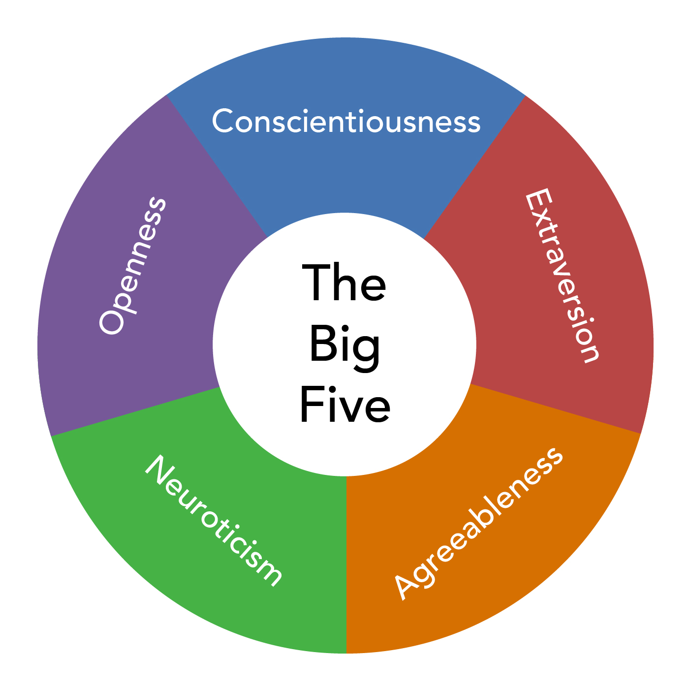 The Big Question: What Are Some Human Like Traits of a blanke7t (And How They Can Become Our Best Buddies).