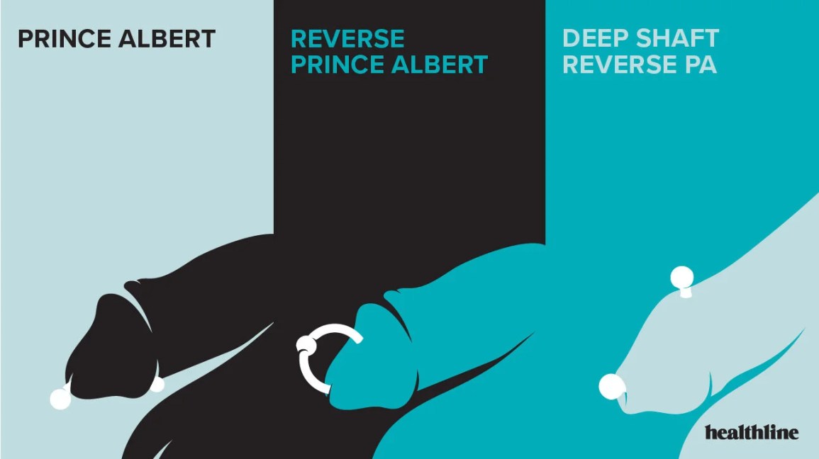 where to get a prince albert piercing tips on finding expert piercers