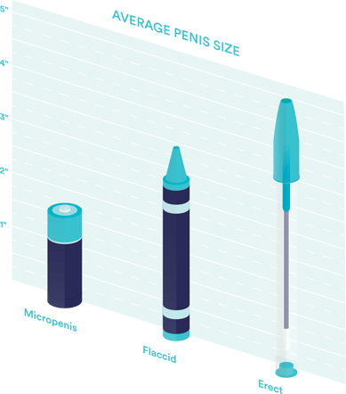 What Is A 4 Penis Size Common Issues Explained Simply