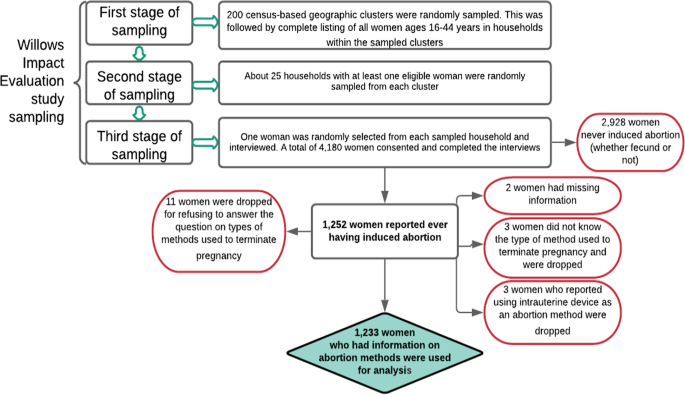 How to Use Te de Ruda for Abortion Safely and Effectively Explained