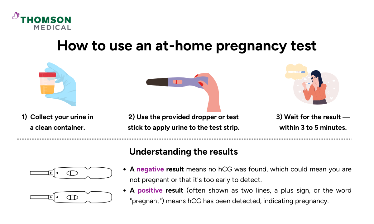 When Should You Take a Home Pregnancy Test 3 Key Factors