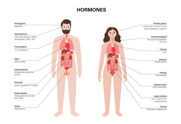 Free vs Paid Picture of a Woman Body Parts? Choose the Best Source