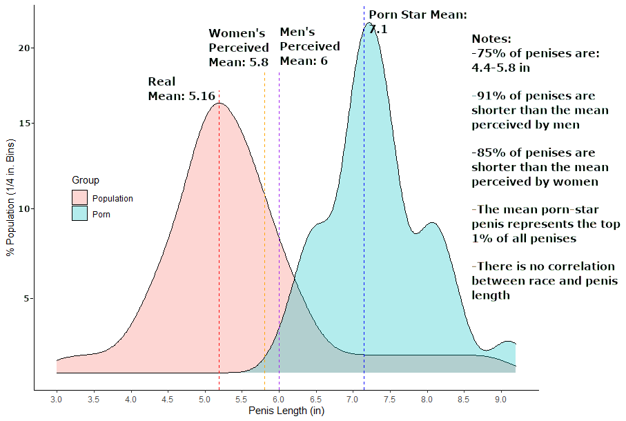 What is the average dick size in porn? Find out the surprising truth and facts!