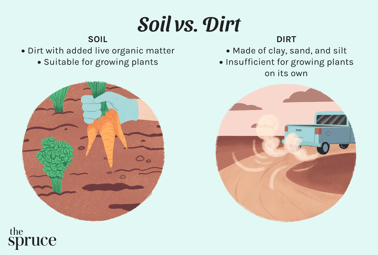 Is Dirt Really Dirty? Easy Ways to Know if Soil is Clean