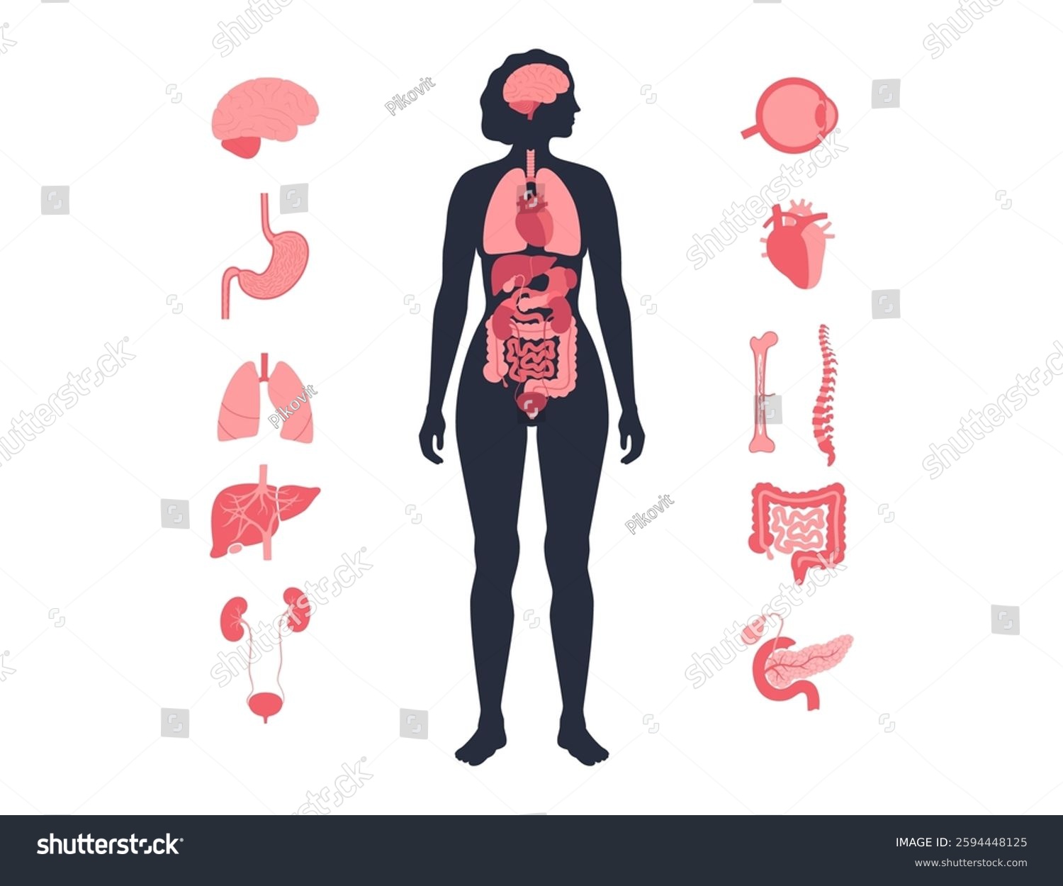 Free vs Paid Picture of a Woman Body Parts? Choose the Best Source