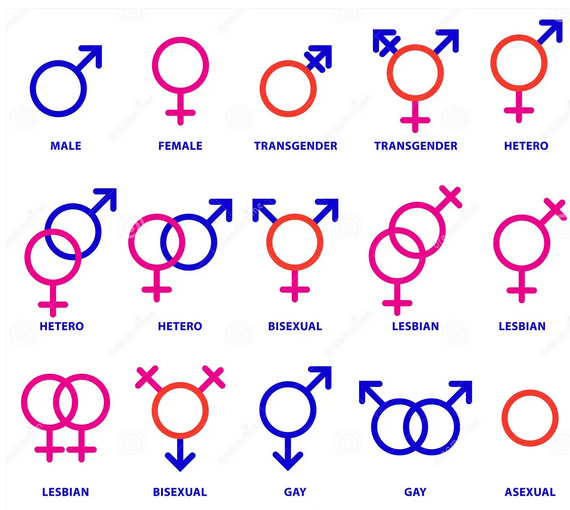 What kinds of sexuality attraction test exist discover 5 main types