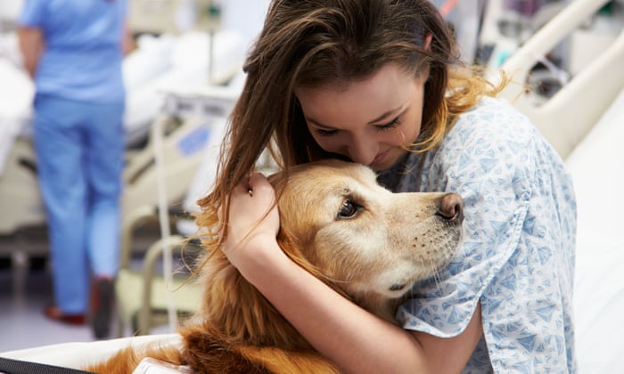 Having Sex With Dogs Consequences Mental Health Risks Behind This Act