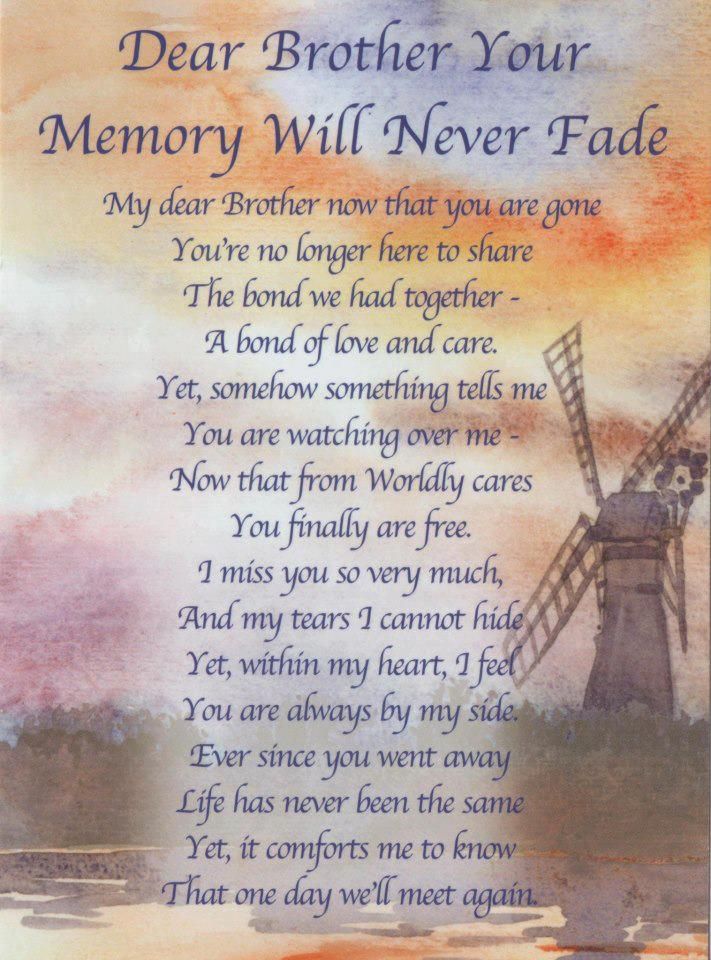 Missing My Brother in Heaven Quotes How to Remember Him Now