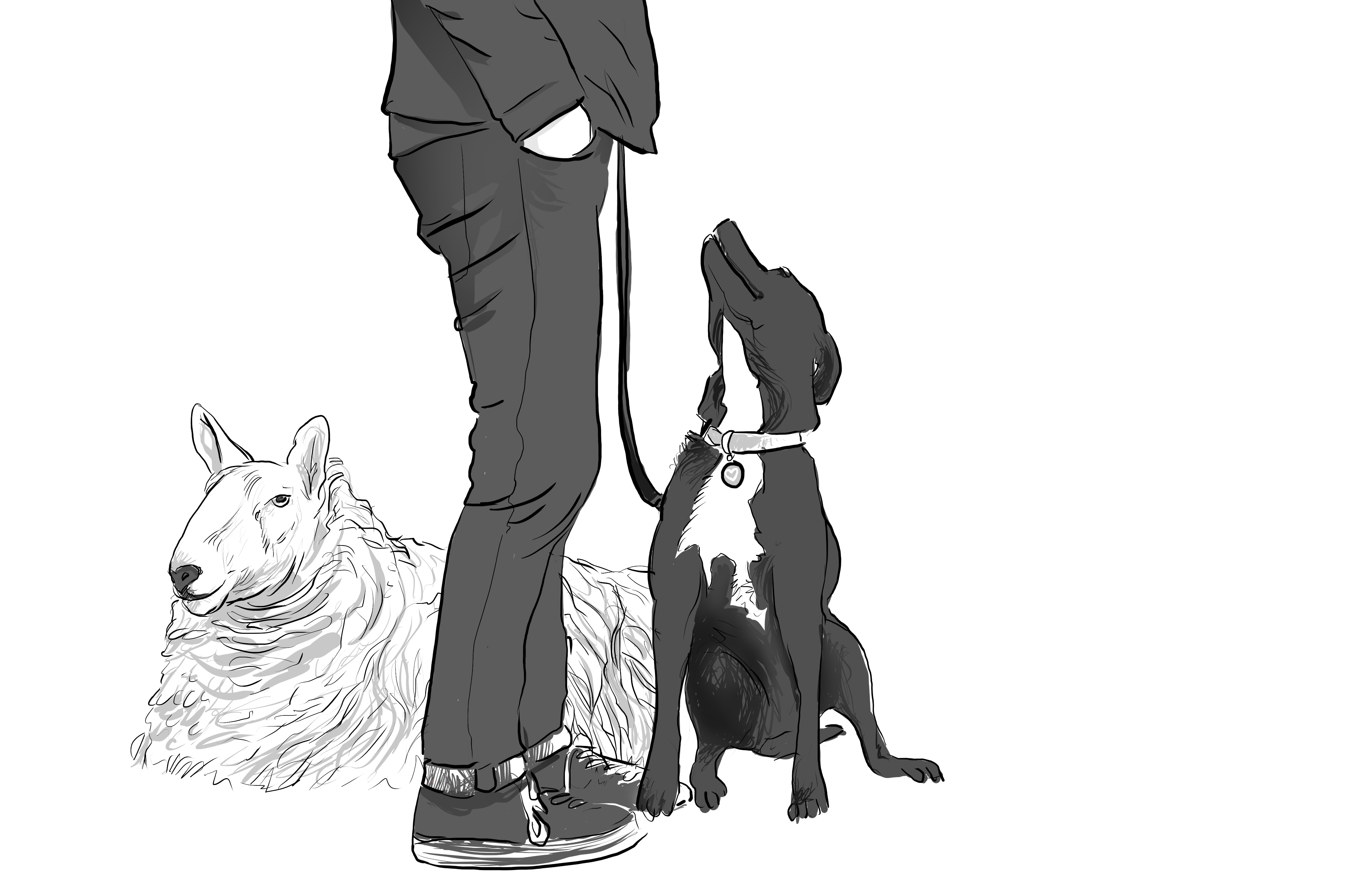 Having Sex With Dogs Consequences Mental Health Risks Behind This Act
