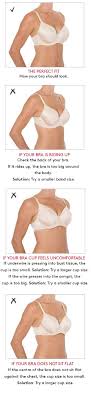 Petite and Big Boobs? How To Find Your Perfect Bra Fit Easily