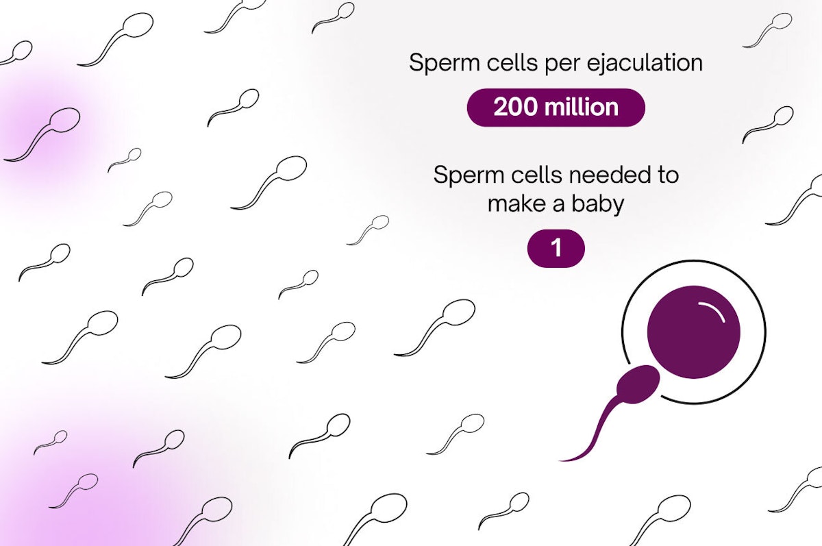 How long do sperm live in a condom? (Learn key facts about sperm survival times)