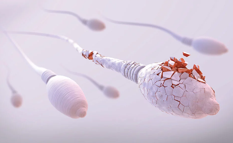 how long does sperm live in a condom? Doctor explains top 3 truths clearly.