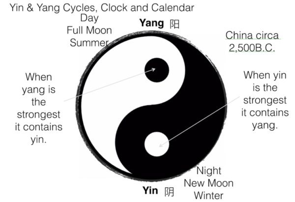 Yin to My Yang Benefits: Top Ways It Improves Your Life Daily!