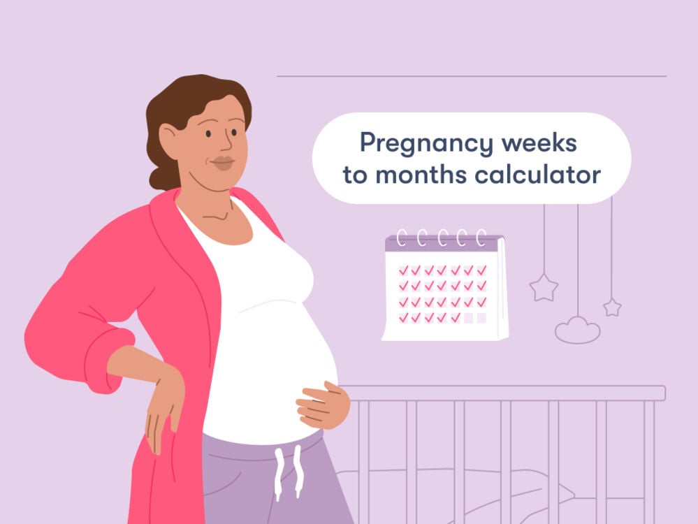 Pregnancy How Many Months? Learn the Exact Duration From Experts!