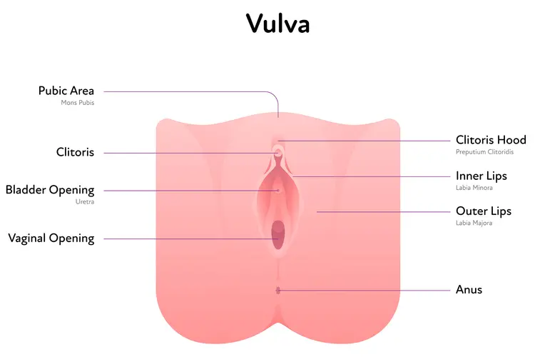 Vagna vs Alternatives? Which One is Right for You?