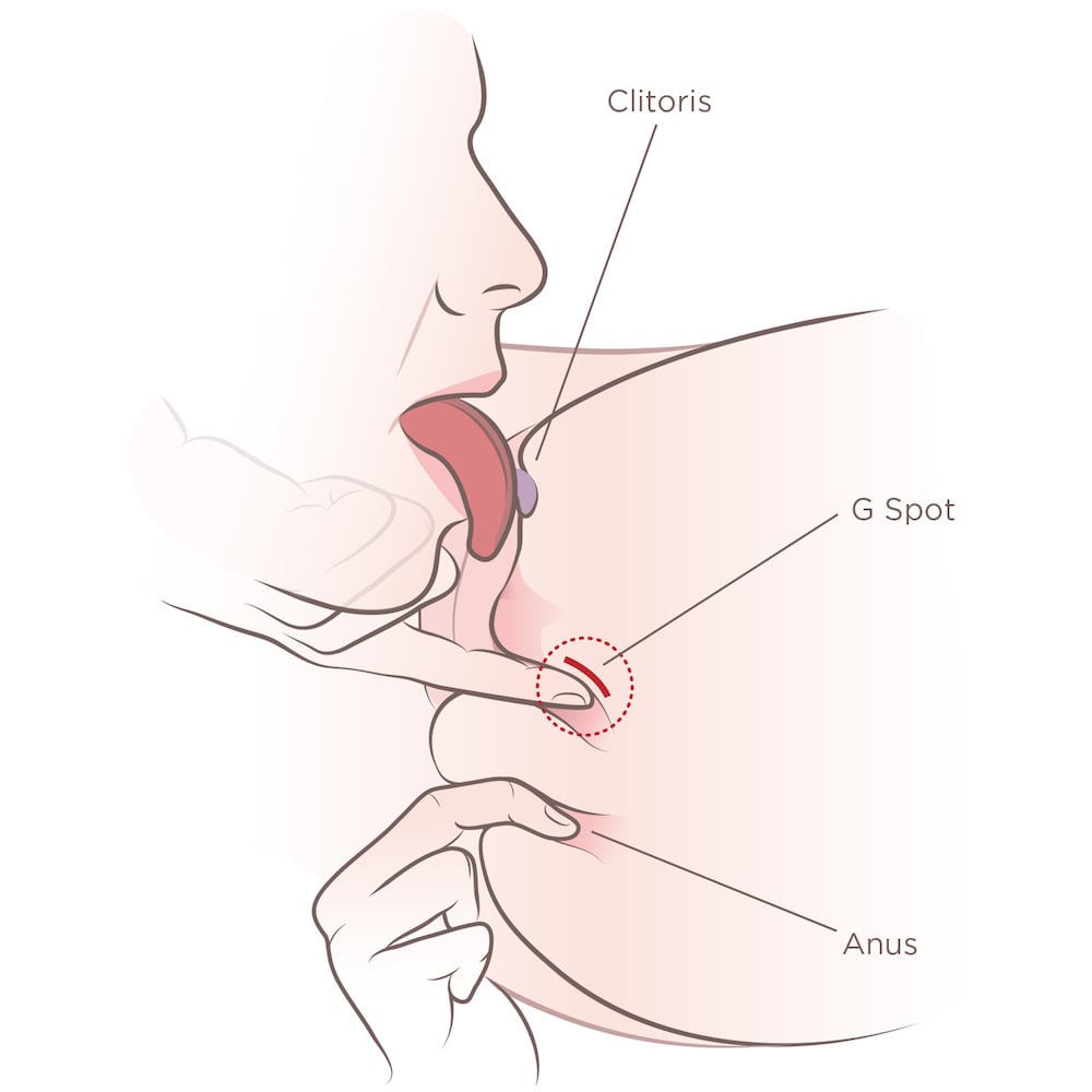 Why Lick Labia Right? Essential Guide for Maximum Response
