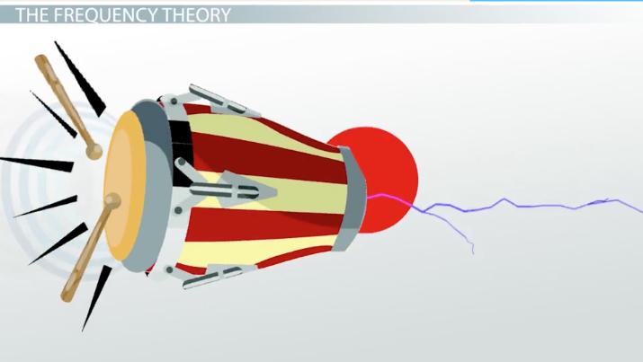 Understanding Frequency Theory Psychology Definition A Beginners Simple Guide
