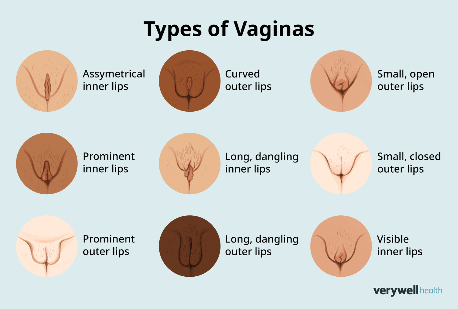 Vagna vs Alternatives? Which One is Right for You?
