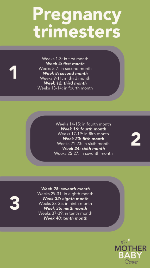 Pregnancy How Many Months? Learn the Exact Duration From Experts!