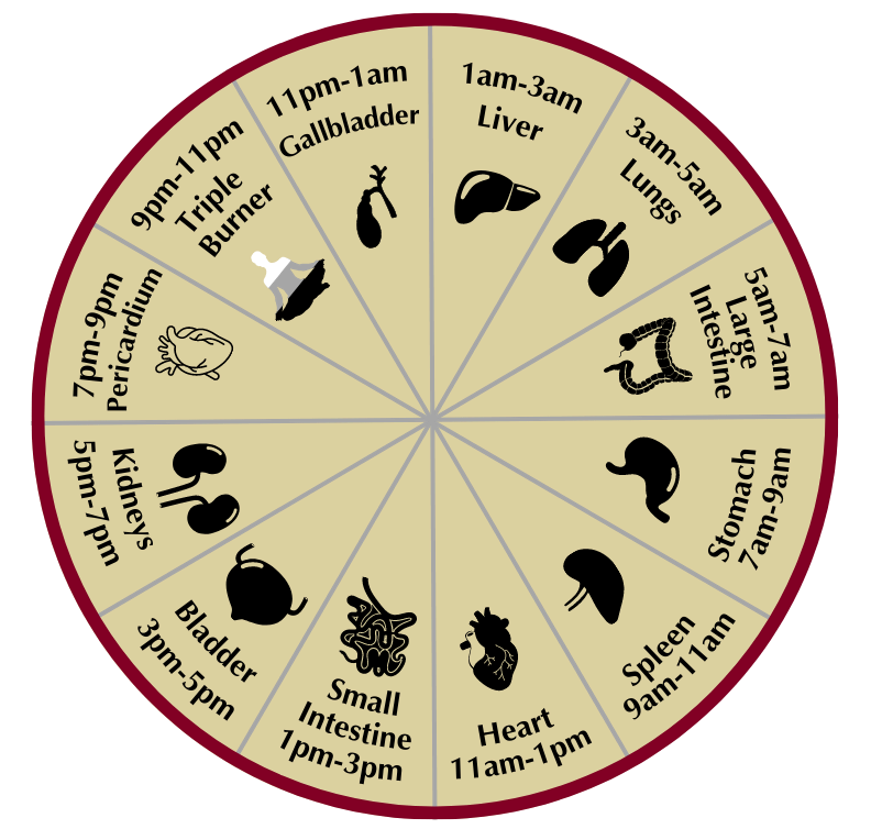 Yin to My Yang Benefits: Top Ways It Improves Your Life Daily!