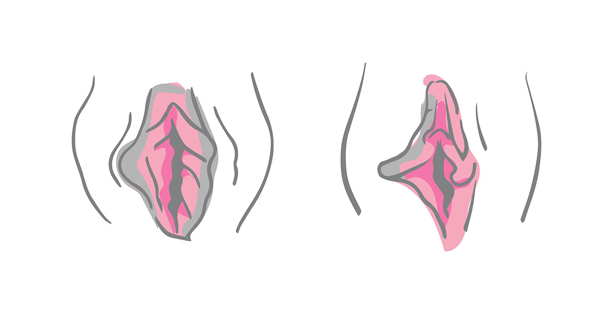 Vagna vs Alternatives? Which One is Right for You?
