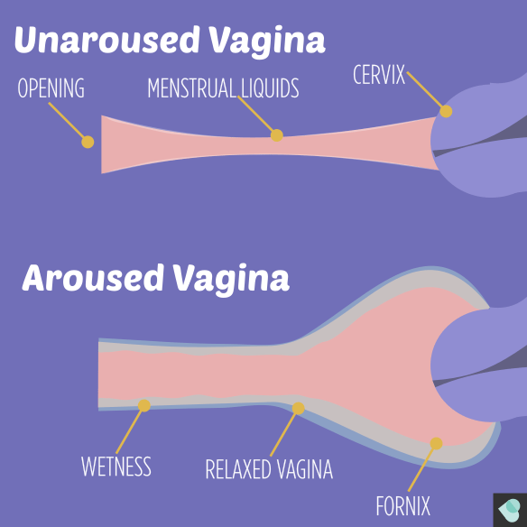 first time inserting pennis into vegina how to make it good