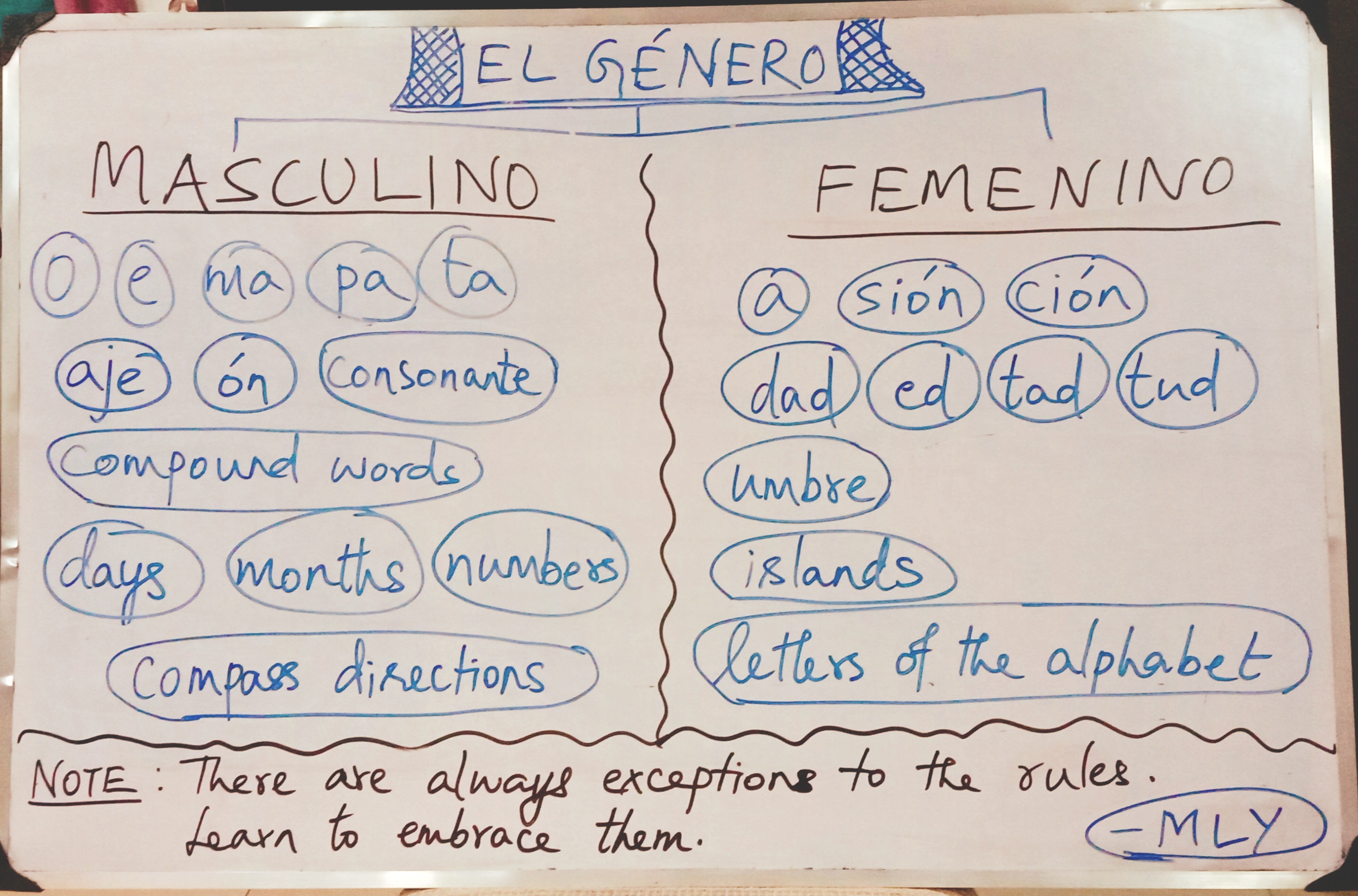 Different Types of El Genero? Understand 3 Main Categories Easily