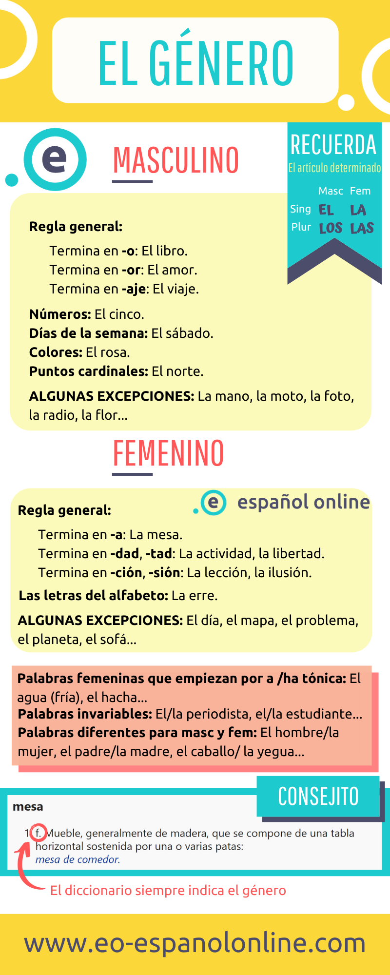 Different Types of El Genero? Understand 3 Main Categories Easily